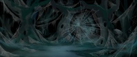 Spider webs 2