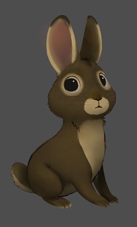 rabbit_preview2.jpg