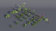 Flower Assets - Test