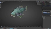 Carp modeling