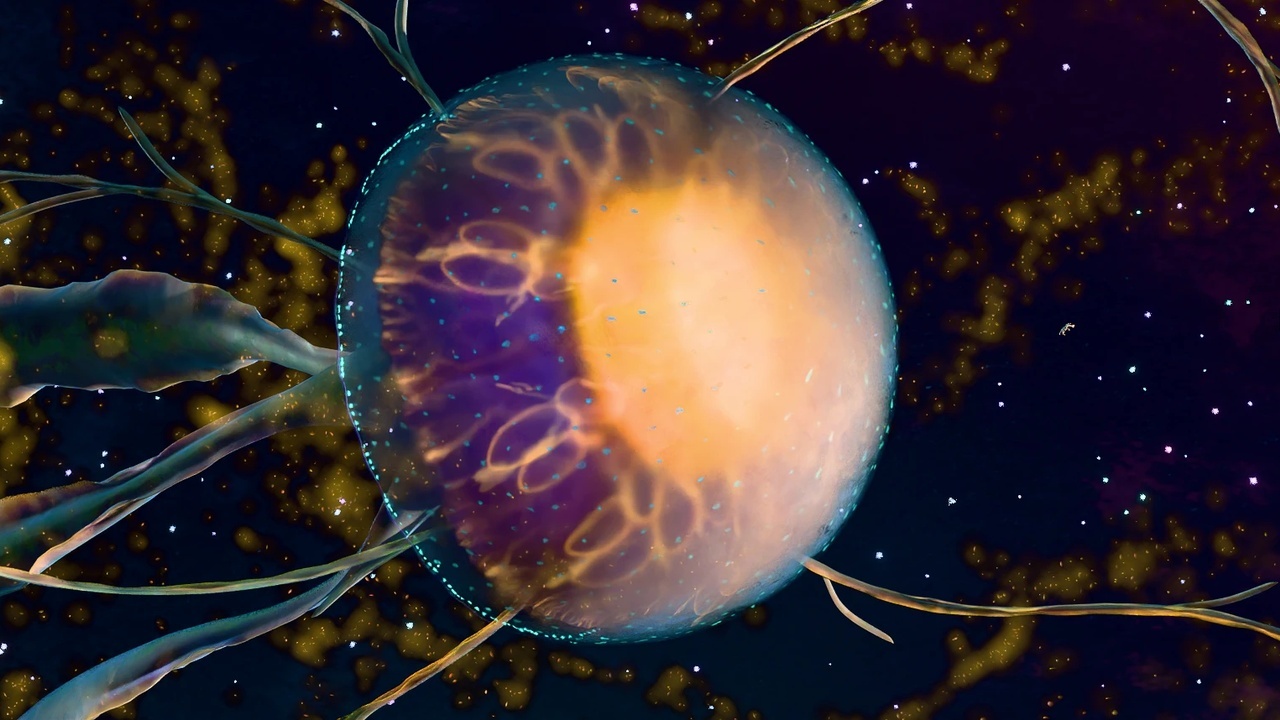 production log preview