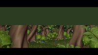Opening shot transition