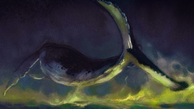 Whale - Early Exploration