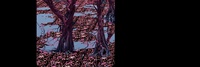 森林測試2