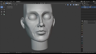 Sculpting a complete Planar Head