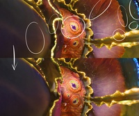 One - More Shading Updates