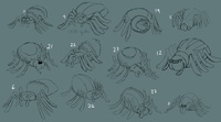 spiders_designs_selection.jpg