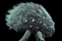 阿爾法進行中 09 - 身體材質（側邊）