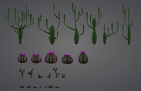 沙漠資源 - 仙人掌