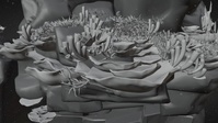 Reef shot v10 - wave motion test