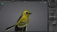 Bird Wing Placement