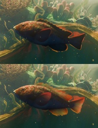 Fish Translucency