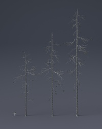 Tree Model and Material update 03