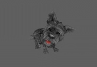 秋天毛皮模擬測試