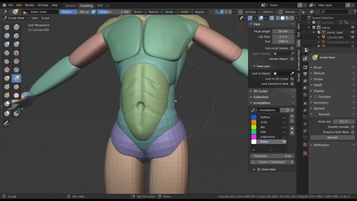 Sculpting the Planar Torso