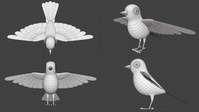 Bird Retopology
