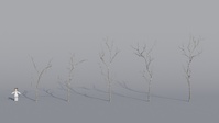 Tree Model Arrangements Tests 01