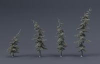 Tree Model and Material update 02