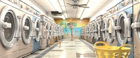 In the laundromat 1