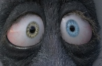 Franck's eyes: shading
