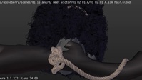 01_02_01_A_anim_v24_shrinkwraptest