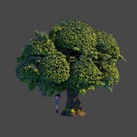 Oak tree 1: FIlling the volume with particles