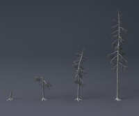 Tree Model and Material update 04