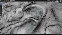 Geometry Based Flow Map