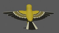 Bird Sculpting