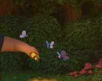 Combusting Butterflies - FX