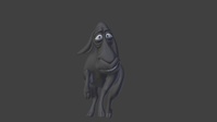 Shy Franck