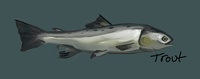 trout painted concept.jpg