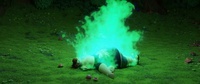 Fire - simulation 01