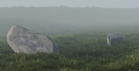 Rocks in the grass