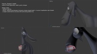 franck_sheep_c