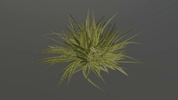 Grass growing test 01