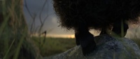 Franck's effing hooves, less noise