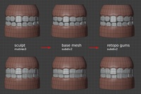 Victoria teeth - retopo