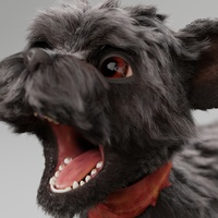 秋天 - 毛皮和紋理 進行中 4