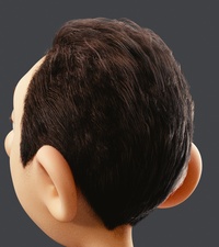 Barber hair - oiliness improvements