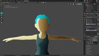 Face Profile Adjustments