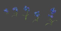 Bluebell flower tweaks
