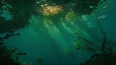 Layer 1 - Early Concepts