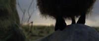 Opening shot, take 1