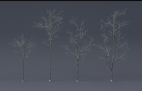 Tree Model and Material update 01