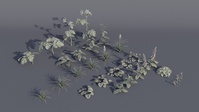 Flower Assets Frozen - Test