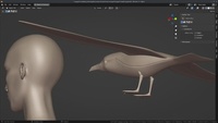 Modeling Seagull