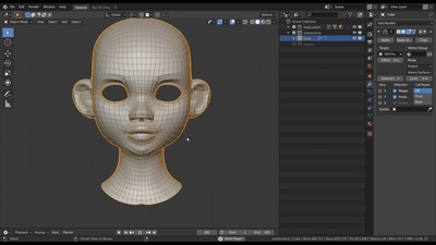 Fast & rough Retopology for the Head