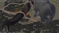 Fixing the rope: how