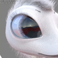 Tara's eyes